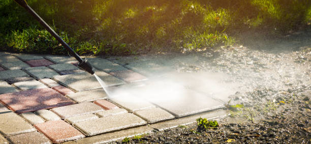 Best House Exterior Washing  in Washington Park, IL