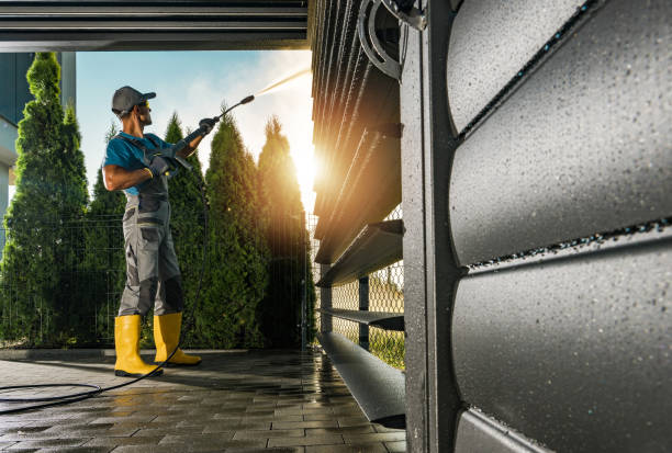 Best Graffiti Removal  in Washington Park, IL